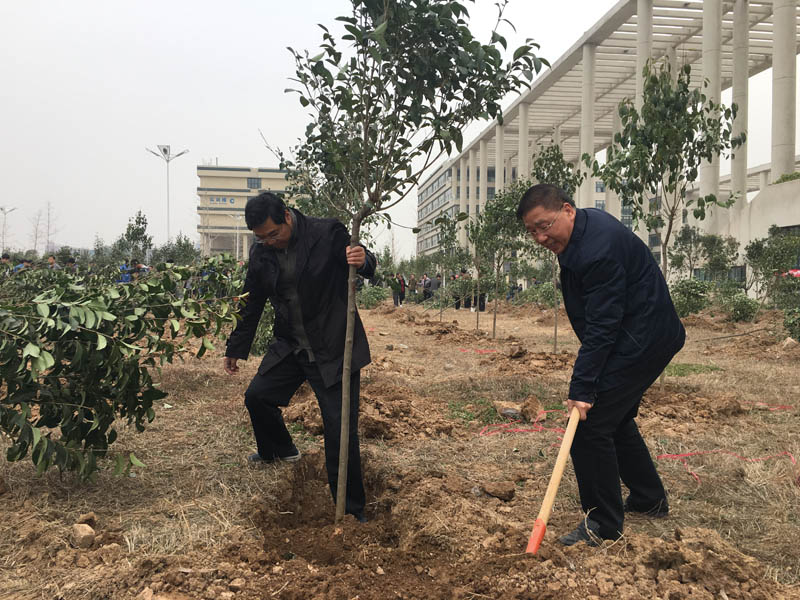 植树1.jpg