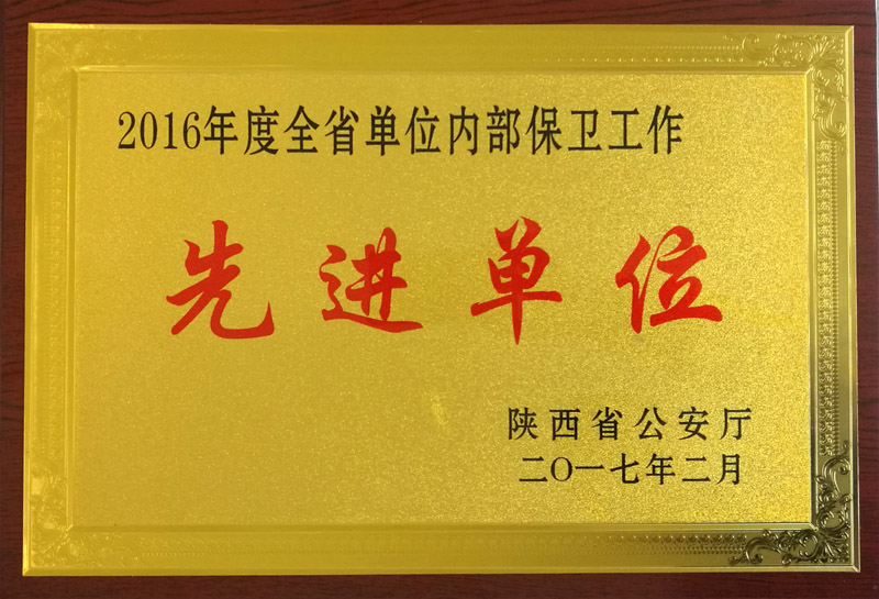 11内保先进单位奖牌.jpg